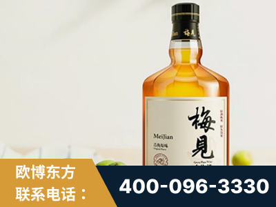 丹东-梅见青梅酒